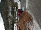 20190117_152701